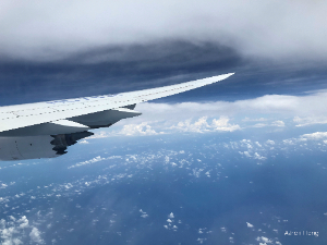 wing